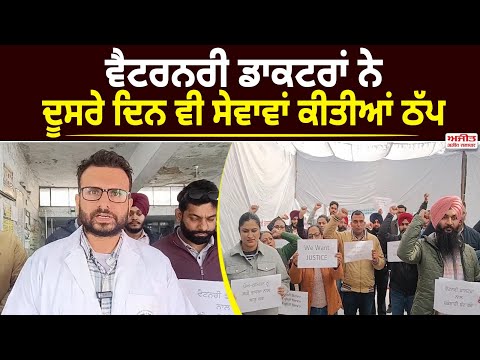 ਵੈਟਰਨਰੀ ਡਾਕਟਰਾਂ ਨੇ ਦੂਸਰੇ ਦਿਨ ਵੀ ਸੇਵਾਵਾਂ ਕੀਤੀਆਂ ਠੱਪ 