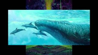 Live Vocal Sound Healing Video by Sam David