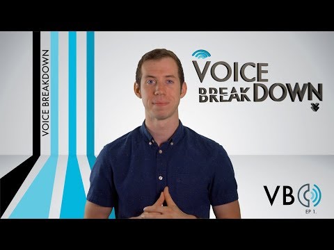"What Is A Voice Breakdown?" - Voice Breakdown Ep. 1 - How To Do Voice Impressions