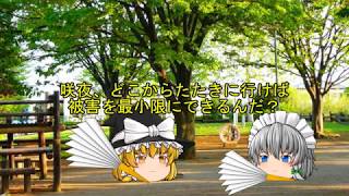【ゆっくり茶番】　解決