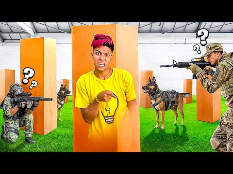 ESCONDE ESCONDE NAS CAIXA VS CÃO POLICIAL *Desafio extremo