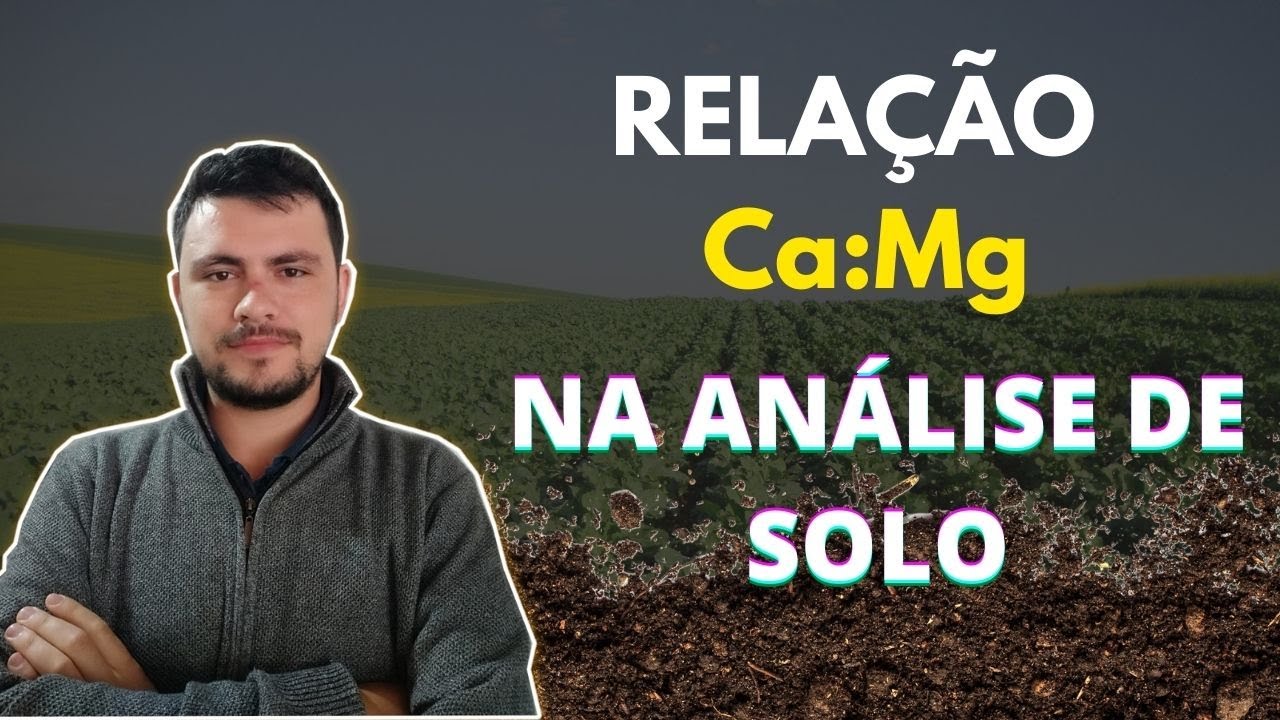 Relação Cálcio Magnésio na análise do solo I É importante realmente?