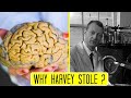 Why Harvey Stole Albert Einstein's Brain?