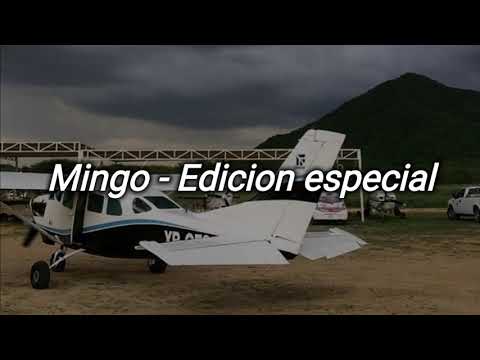 Mingo - Edicion especial (letra/lyrics)
