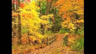 There&#39;s No You - Frank Sinatra