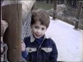 Cheese Burger Wmv