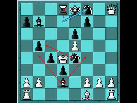 Okrutni napad bez trunke milosti 😎🎯🎯🎯💥  BAUERMANN vs BUTZE #3196