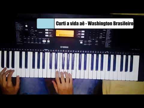 Curtir A Vida Aê - Washington Brasileiro