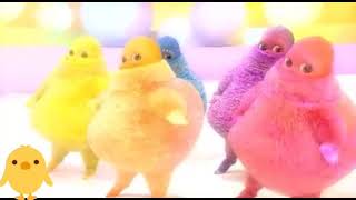 Download lagu Ayam joget lagu gowirdam mp3 Download lagu Ayam joget lagu gowirdam mp3