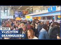 Zien: enorme chaos Schiphol door wilde staking KLM