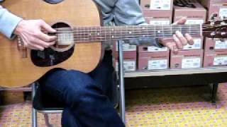 POLICE DOG BLUES  Stefan Grossman(COPY)