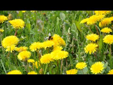 Olia, Happy Birthday!