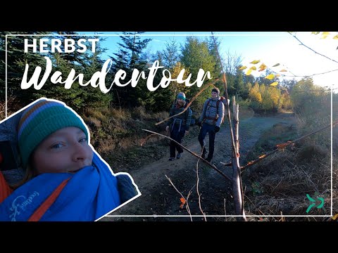 We've been spotted! Autumn hiking tour with an overnight stay in the forest