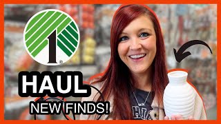 🤯 NEW DOLLAR TREE FINDS YOU'LL WANT TO GRAB! DOLLAR TREE HAUL SEPTEMBER 2024