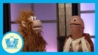 Adventures with Artie: Patience