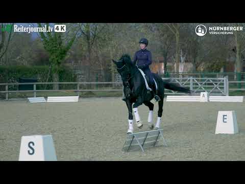 Richtig Reiten mit Dorothee Schneider Teil 1 – präsentiert von der NÜRNBERGER Versicherung