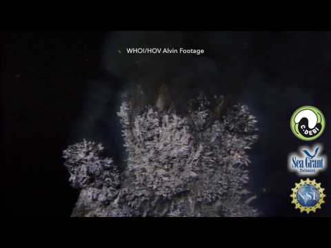 15 Second Science at AGU16 - Hydrothermal vent fluids
