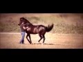 MI CABALLO EL CANTADOR ANTONIO AGUILAR