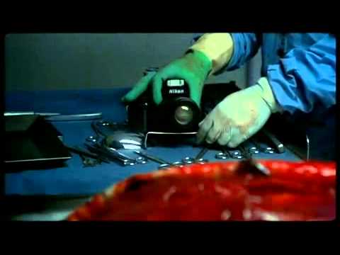 AFTERMATH ( 1994 ) TRAILER