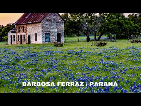 BARBOSA FERRAZ / PARANÁ