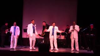 SMOKEY JOE&#39;S CAFE- THE COASTERS