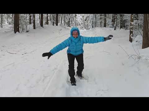 29 January 2023 a Walk near Poprad   Slovakia