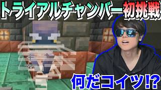 【試練マイクラ#3】初めて内部の入ったら未知との遭遇だらけで頭真っ白www