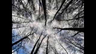 Peter Gabriel - Downside Up Subtitulada