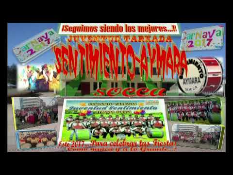 Tarkeada Sentimiento Aymara Socca