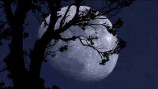 Klaus Schulze - Die Erde Ist Rund (Concert 1979)