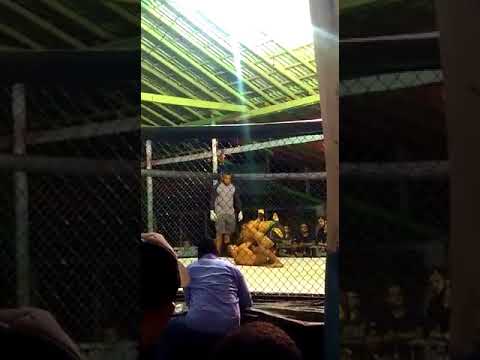 Sombra Fight Champions 7-Junior Cobra x Jhon Trator