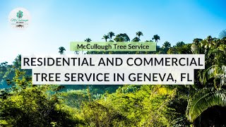 McCullough Tree Service Works in Rural Areas – Geneva, FL