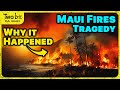 The Maui Fires REAL Reason They Happened