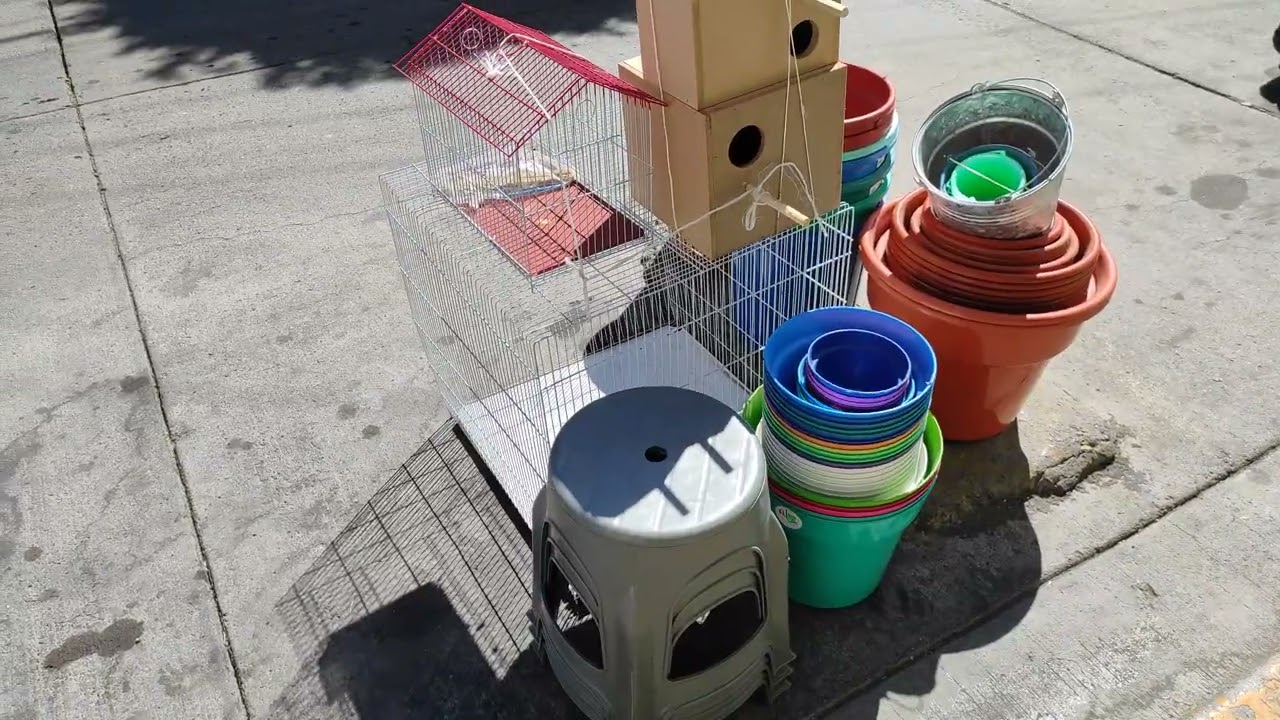 jaula grande y de diferente tamaño nidos para diferentes aves en Lagos Gracias