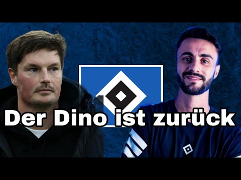 Der Hamburger Sport Verein ist zurück im Oberhaus?!