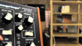 Video thumbnail for Announcing the winner of the MF-104SD Analog Delay by Moog Music