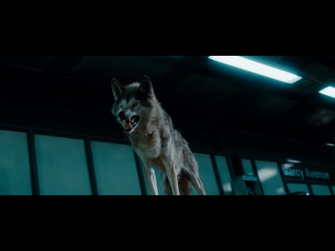 The Sorcerer's Apprentice - Dave Meets Horvath (HD)