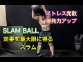 スラムで最大の効果を得る！腹筋もついてストレス発散にも最適[SLAM BALL]