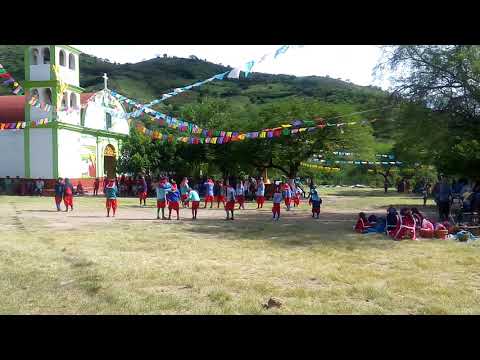 Danza de Moras y Gachupines(3)