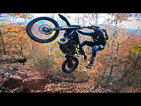 download lagu mp3 mp4 Grenzgnger, download lagu Grenzgnger gratis, unduh video klip Grenzgnger