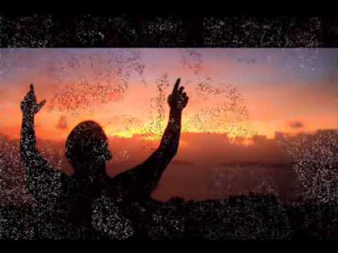 Banda Rara - Estrela da manhã