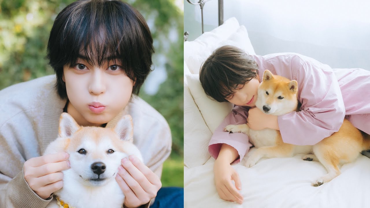 &TEAM・TAKIさんが遊びに来てくれました！（柴犬｜月刊わんこ撮影オフショット）