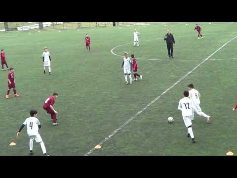 Vorbereitungsspiel gegen Red Star - 3.3.2019 (12:09 min)