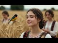 Alb Melody - Oj Erdhi Bilbili, Oj Erdhi Në Lëmë