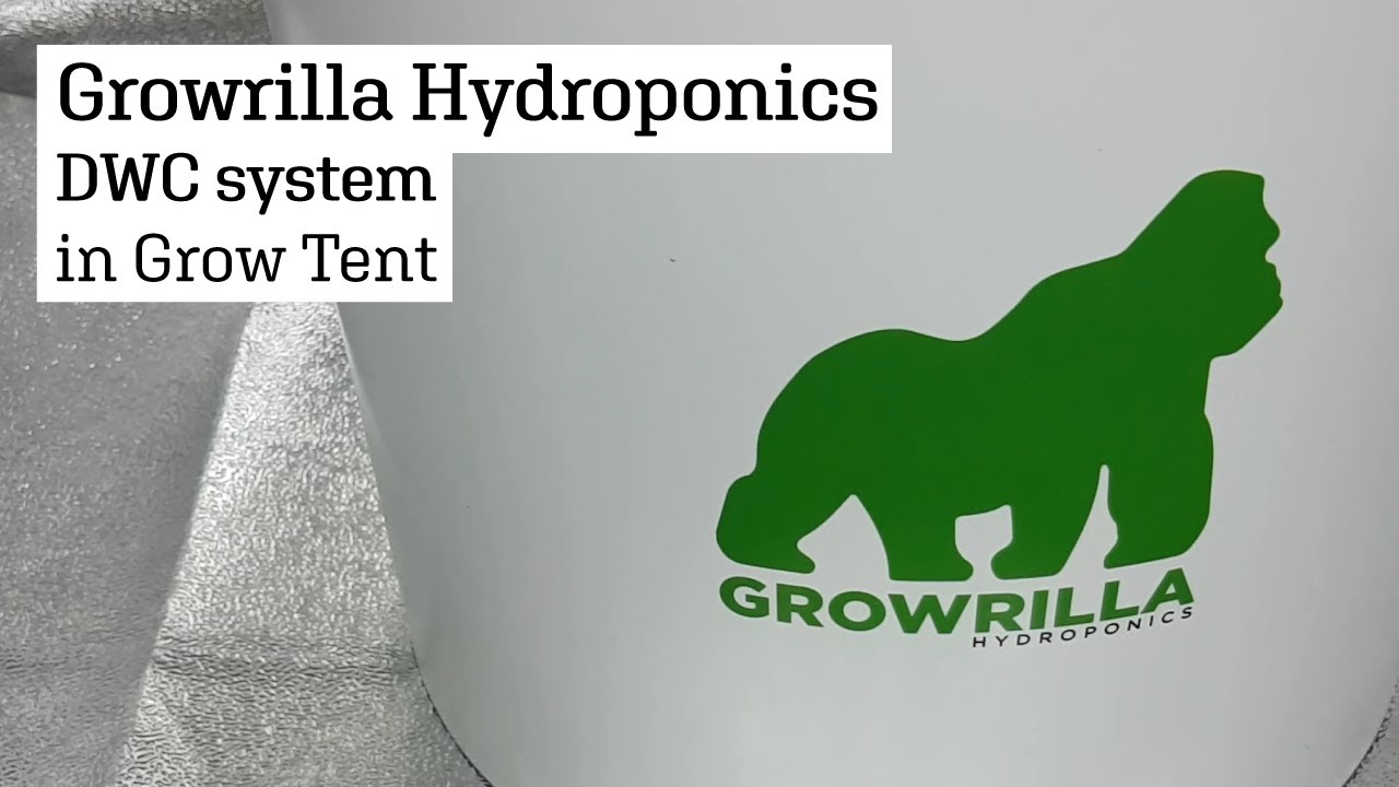 Growrilla Hydroponics DWC kit in Hydro Shoot HS80 #shorts
