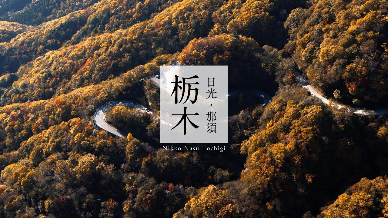 [Autumn] Tochigi Japan in 8K - 日光・那須／栃木