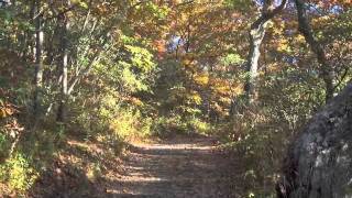 St Denis on Hammer Dulcimer