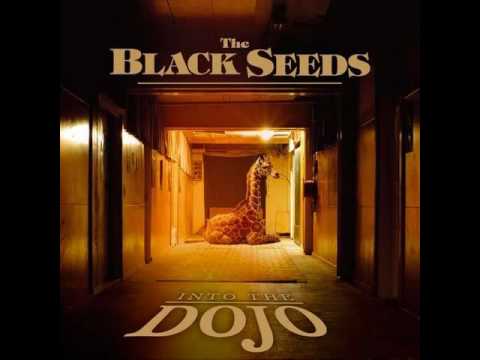 The Black Seeds - Cool me down