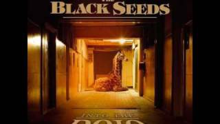 The Black Seeds - Cool me down