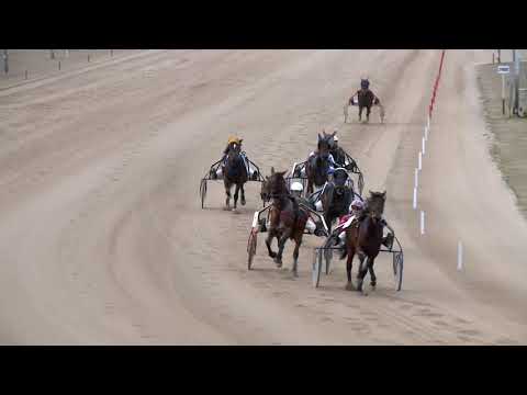 2019.03.02. 02. futam - ÜVEGTIGRIS DÍJ